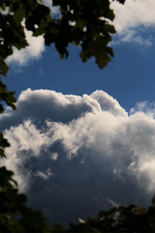 Burg Teck im Sommer