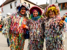 Gosbach Großer Faschings Umzug