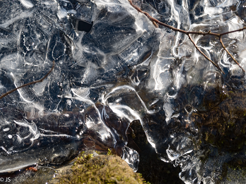 Verwunschene Eiswelt an den Bürgersee