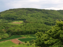 Die Limburg