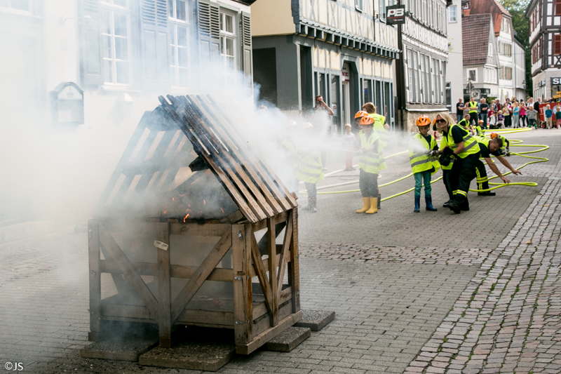 Museeumfest und Naberner Lösch Löwen von J.Stortz