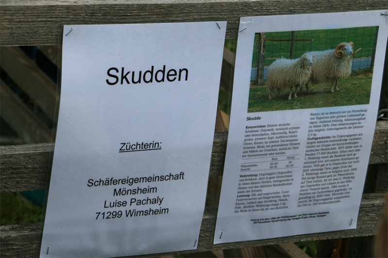 Schäfertage mit Schäfermarkt Freilichtmuseum Beuren