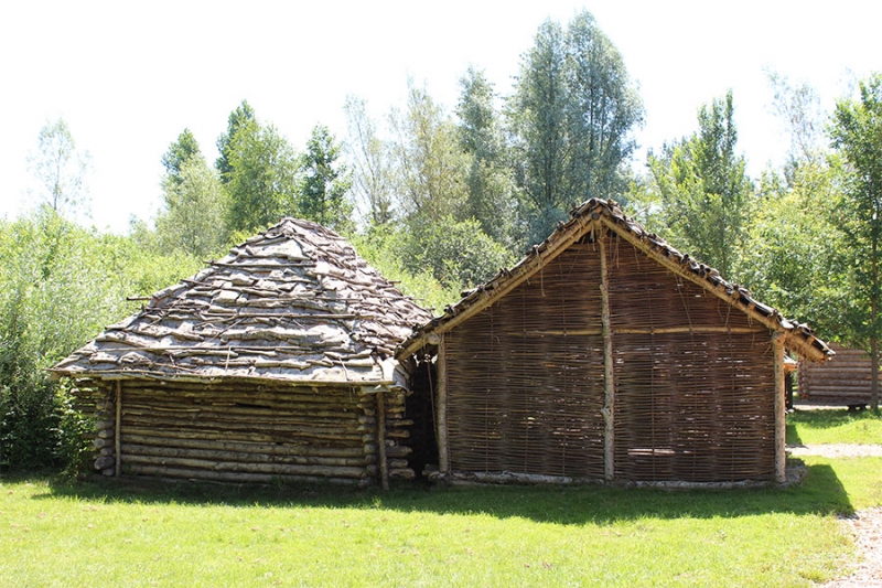 Federseemuseum Bad Buchau