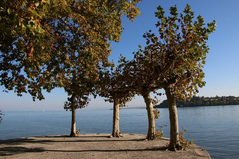 Insel Mainau im Herbst