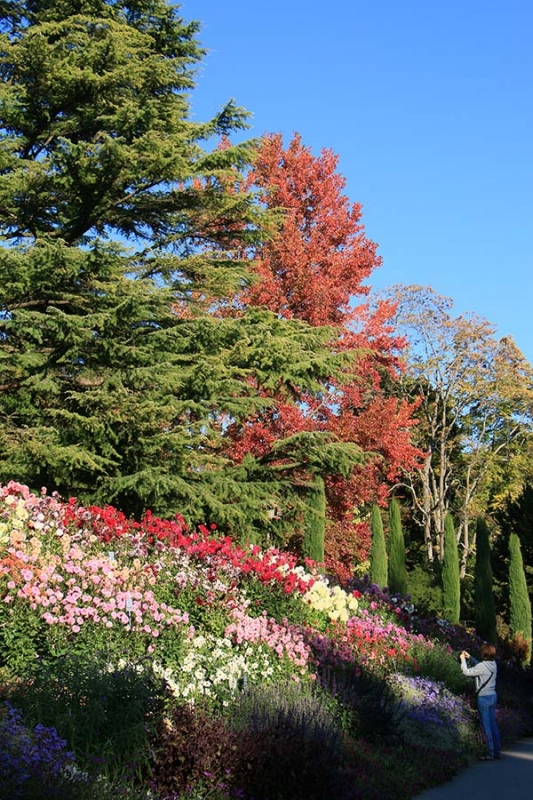 Insel Mainau im Herbst