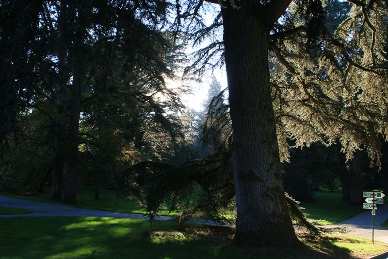 Insel Mainau im Herbst