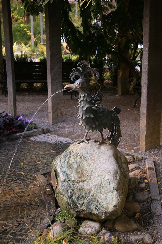 Insel Mainau im Herbst