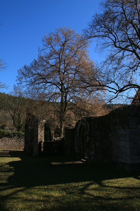 Kloster Hirsau